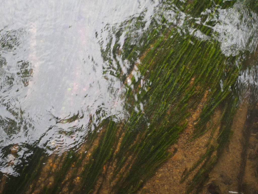 P_20160229_145057.jpg P_20160229_145057.jpg