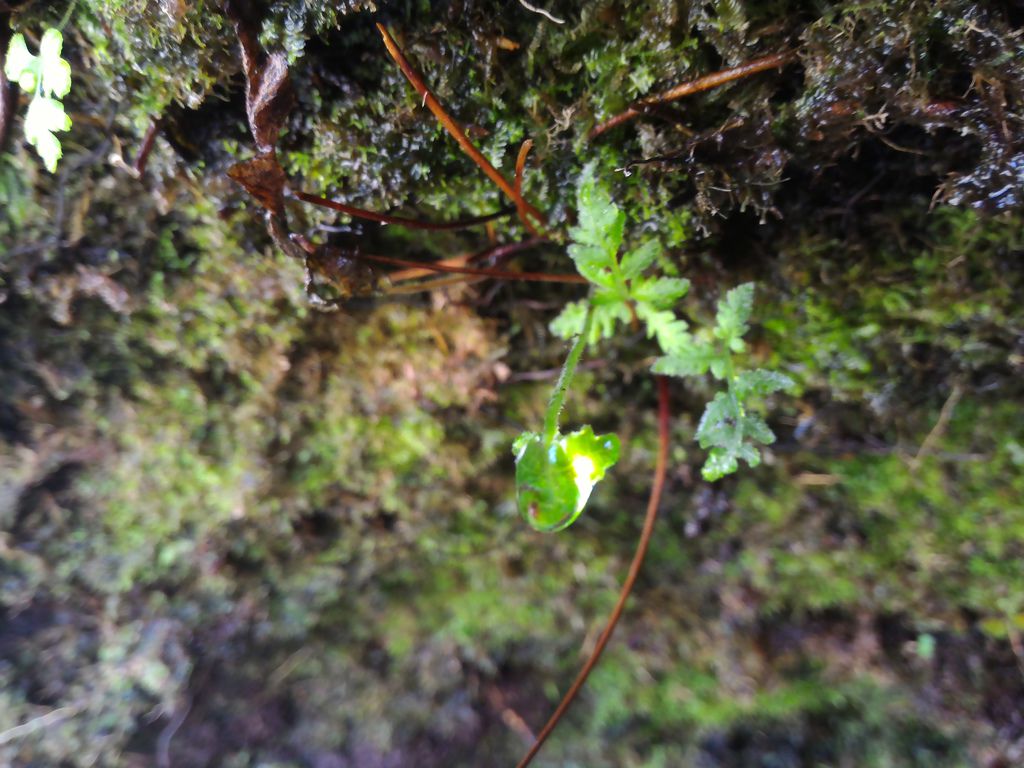 P_20160228_113144.jpg P_20160228_113144.jpg