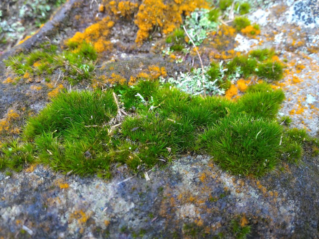 P_20160228_113223.jpg P_20160228_113223.jpg