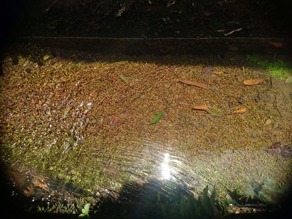 DSC_0012.JPG DSC_0012.JPG