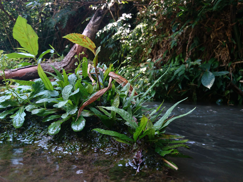 DSC_0007.JPG DSC_0007.JPG
