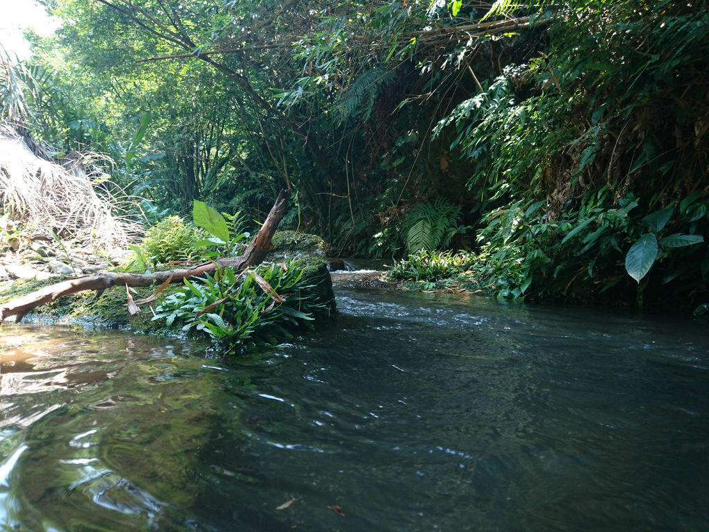 DSC_0004.JPG DSC_0004.JPG