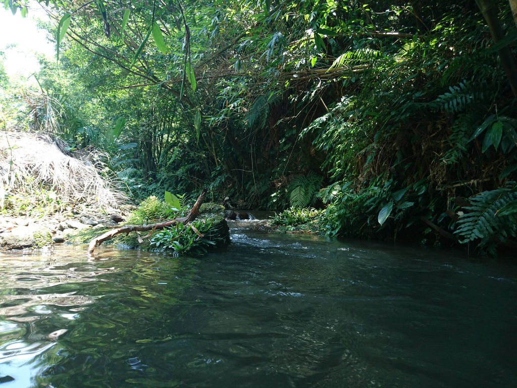 DSC_0003.JPG DSC_0003.JPG