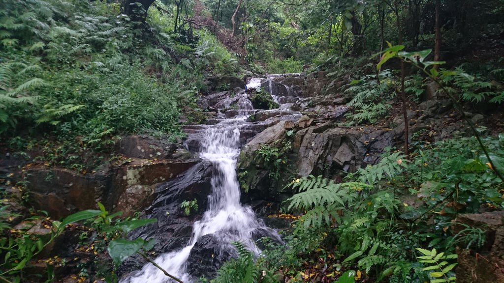 DSC_0432.JPG DSC_0432.JPG