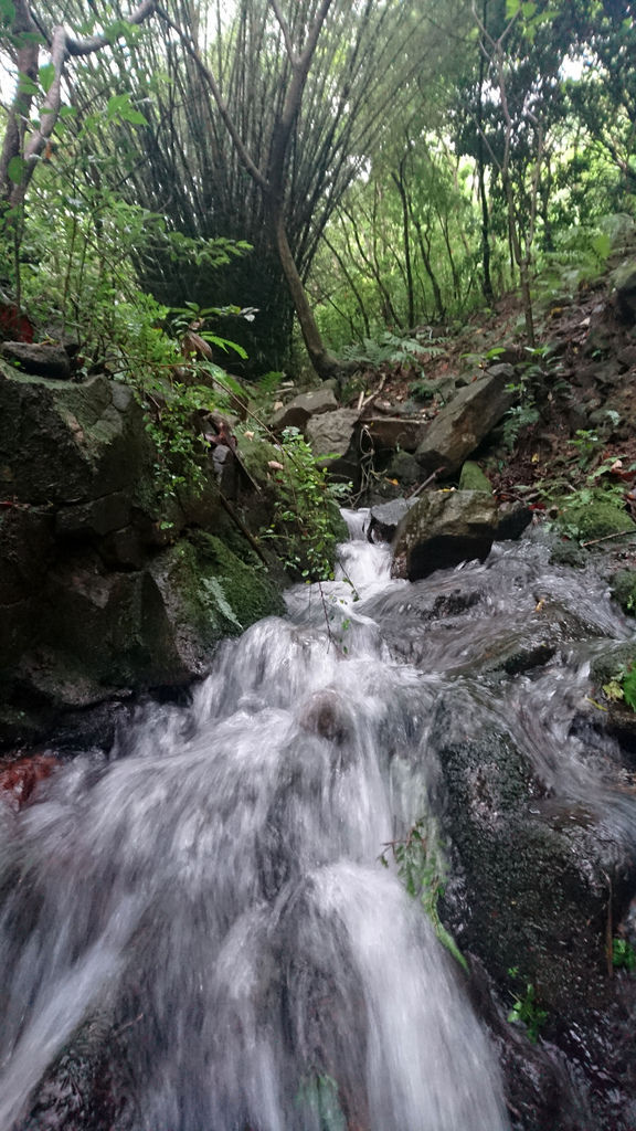 DSC_0442.JPG DSC_0442.JPG