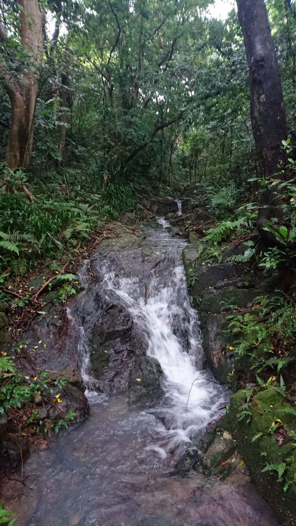DSC_0437.JPG DSC_0437.JPG