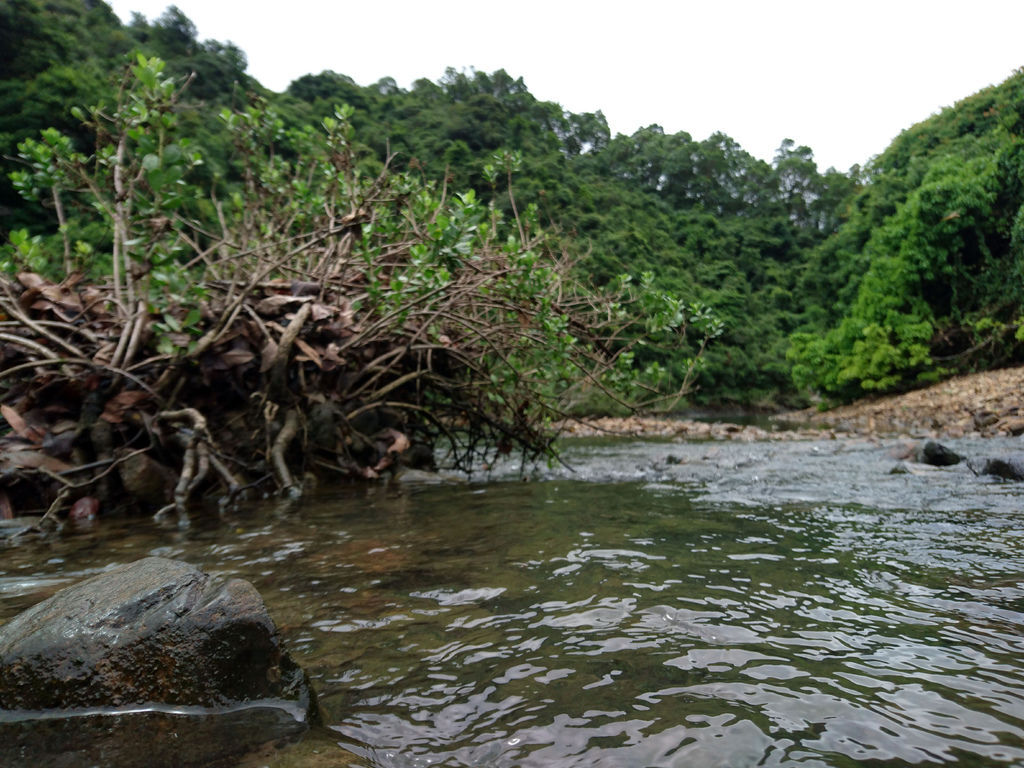 DSC_0503.JPG DSC_0503.JPG