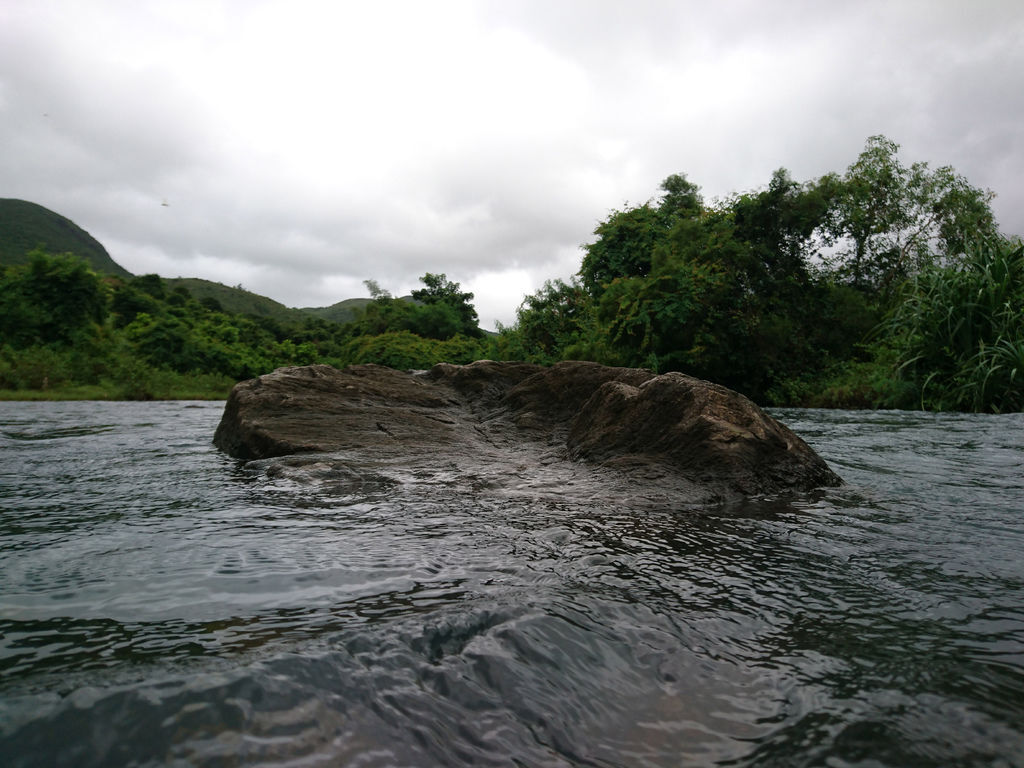 DSC_0505.JPG DSC_0505.JPG