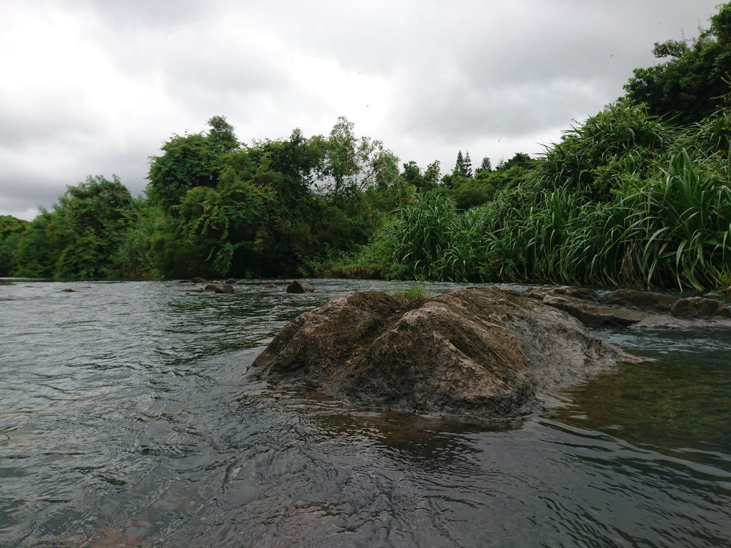 DSC_0507.JPG DSC_0507.JPG