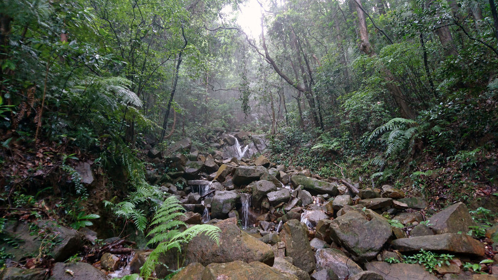 DSC_0596.JPG DSC_0596.JPG