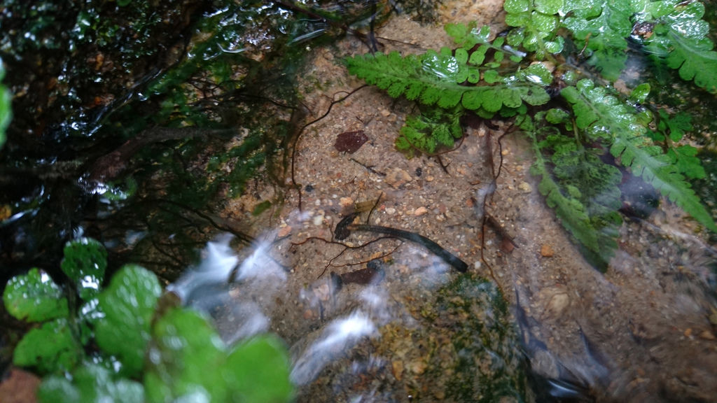 DSC_0605.JPG DSC_0605.JPG