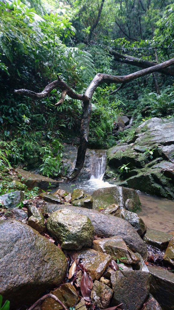 DSC_0614.JPG DSC_0614.JPG
