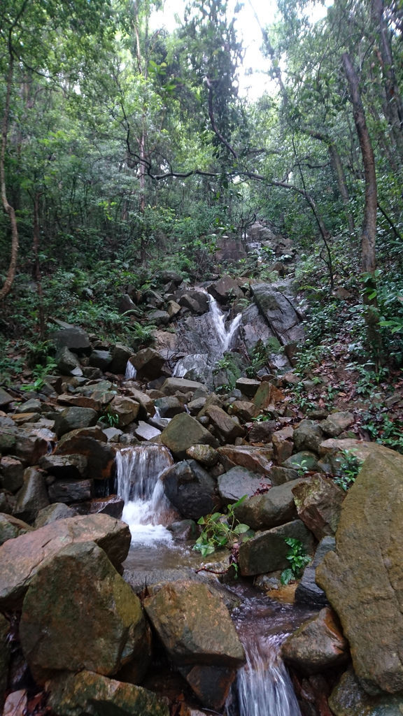 DSC_0599.JPG DSC_0599.JPG