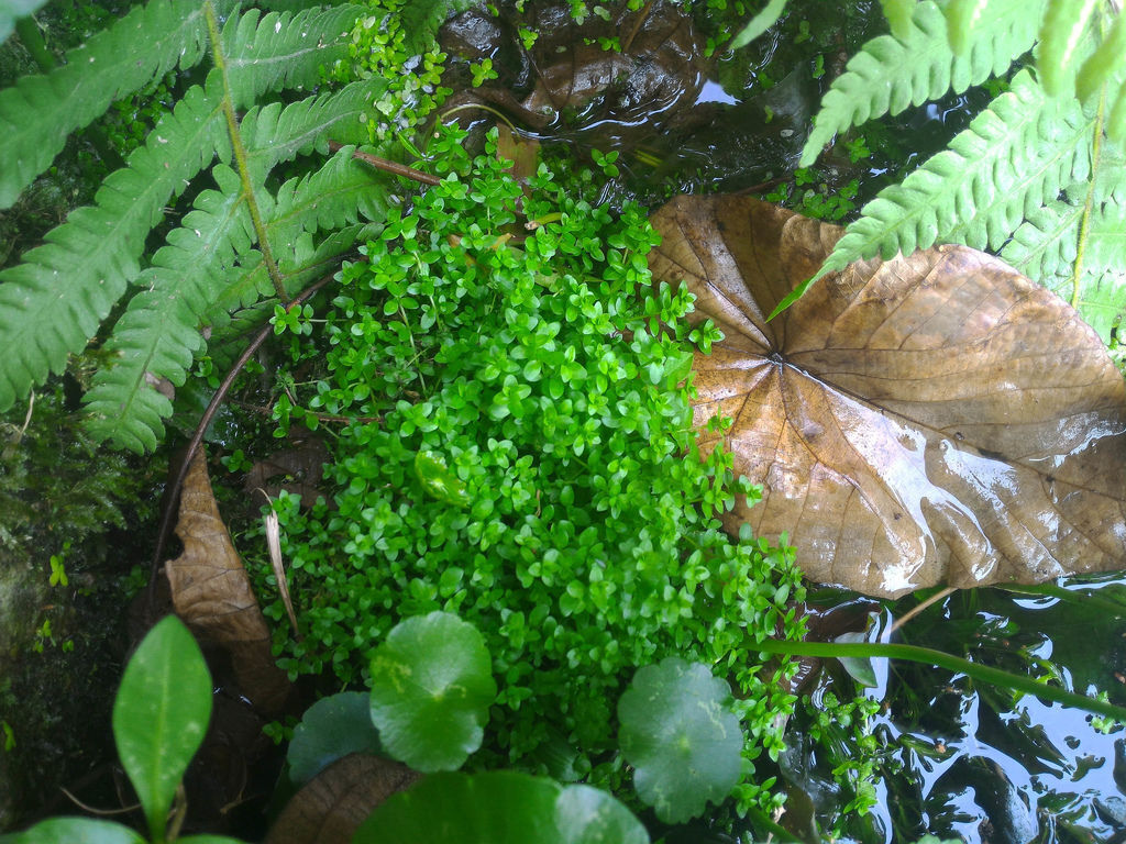 P_20160507_154630.jpg P_20160507_154630.jpg
