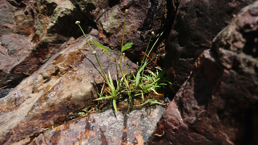 DSC_0678.JPG DSC_0678.JPG