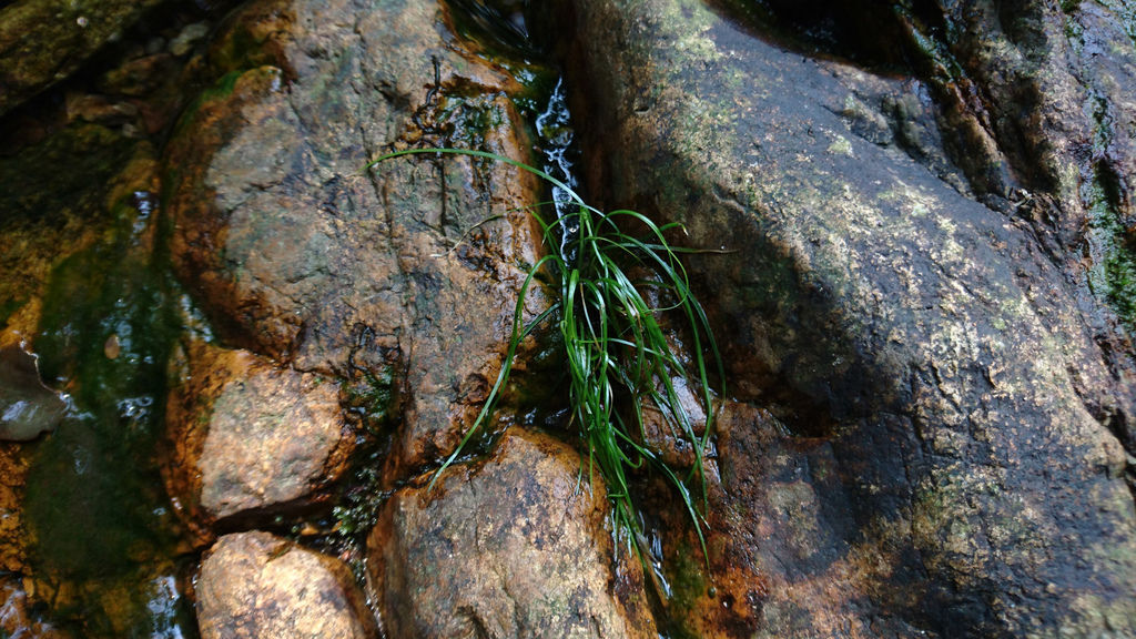 DSC_0772.JPG DSC_0772.JPG