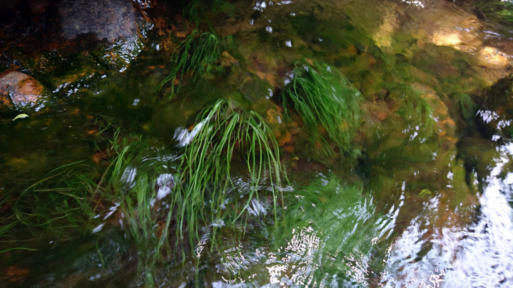 DSC_0774.JPG DSC_0774.JPG