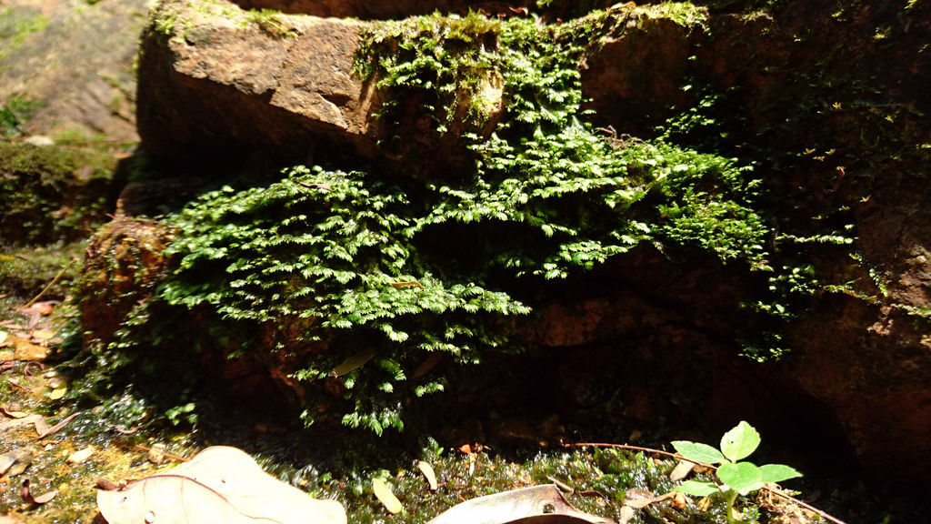 DSC_0662.JPG DSC_0662.JPG
