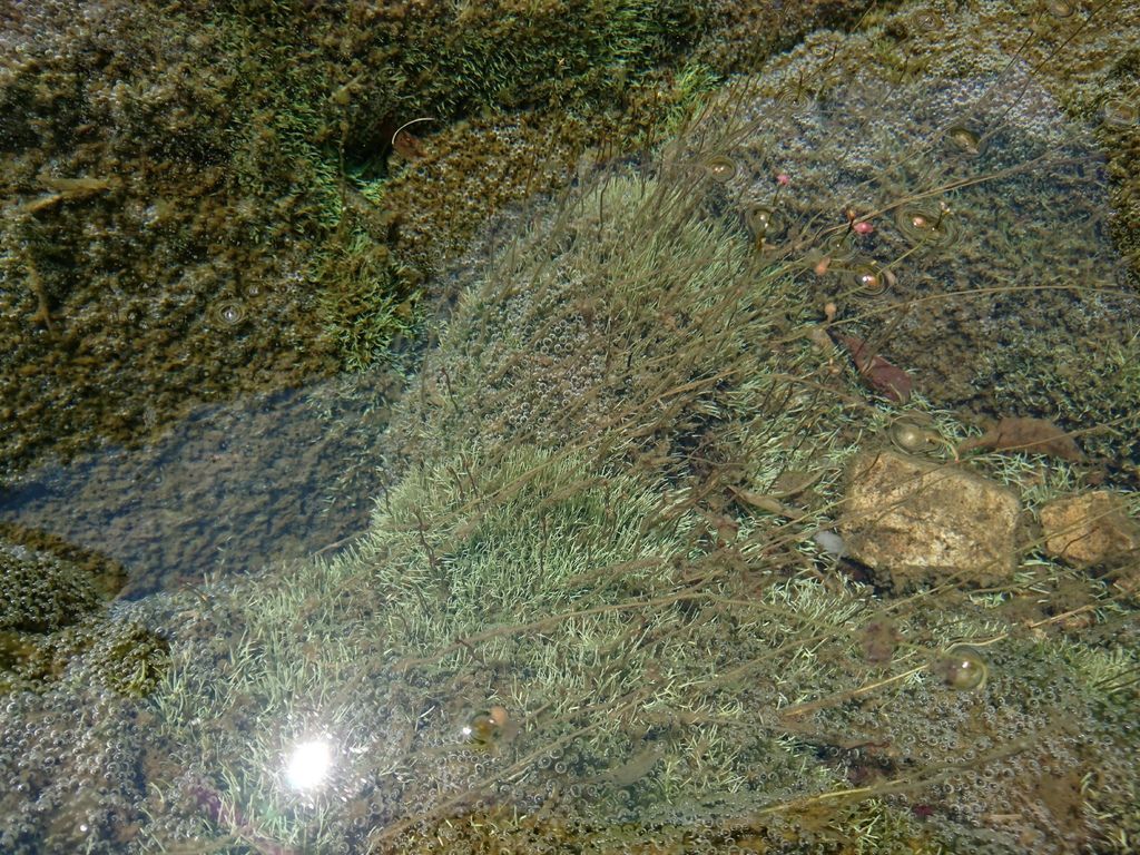 DSC_0951.JPG DSC_0951.JPG