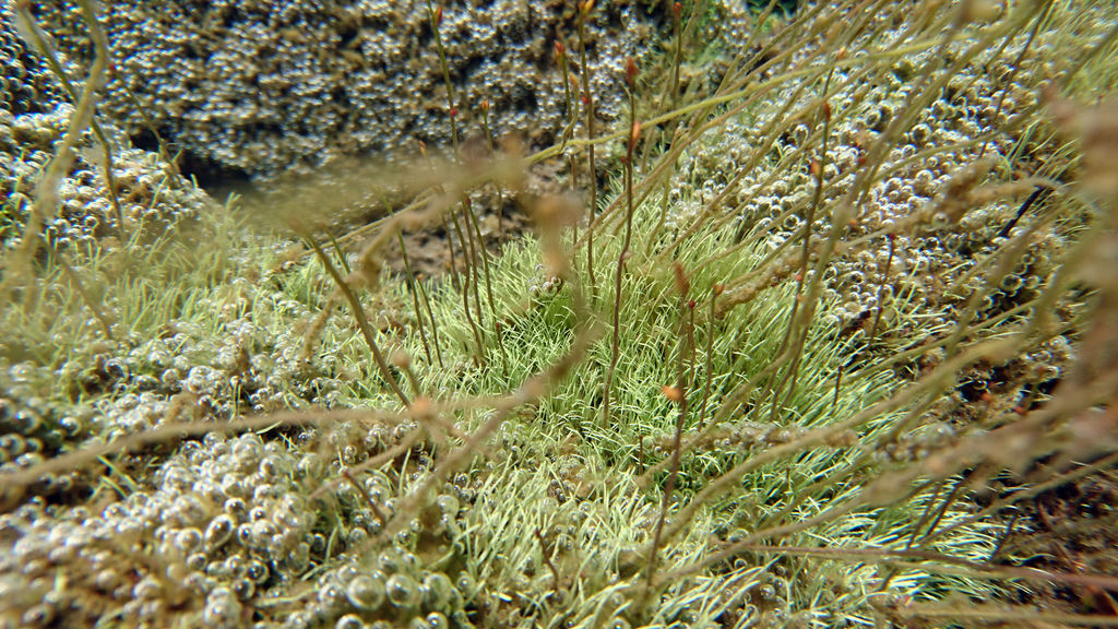 DSC_0952.JPG DSC_0952.JPG