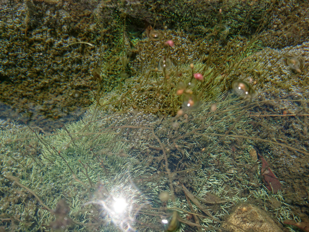 DSC_0955.JPG DSC_0955.JPG