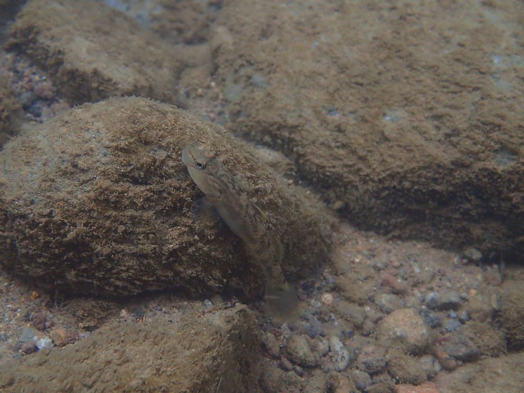 PB120872.JPG PB120872.JPG