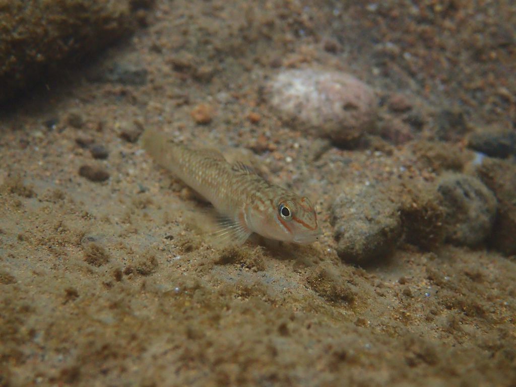 PB120886.JPG PB120886.JPG