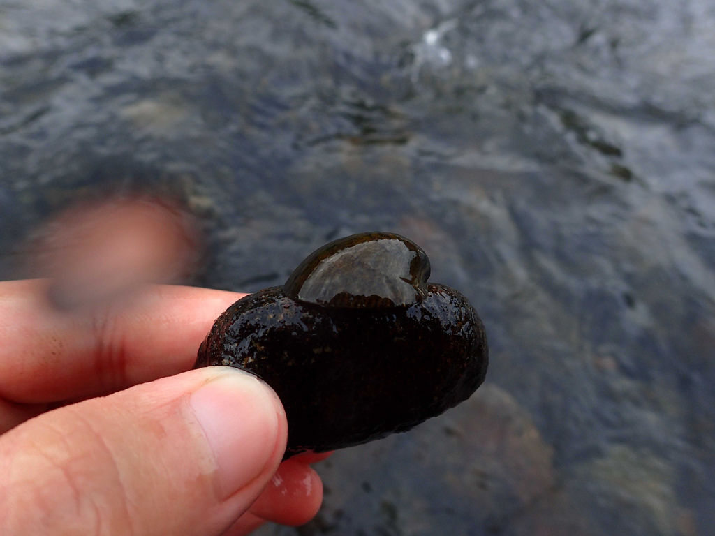 PB201344.JPG PB201344.JPG