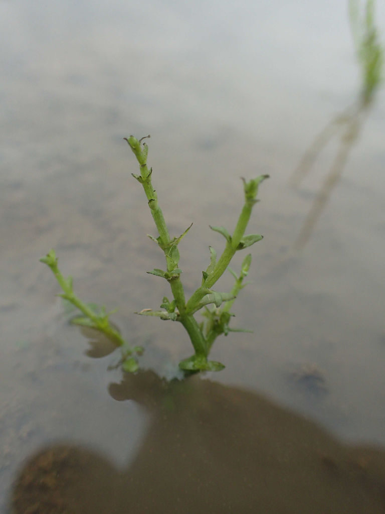 P1143591.JPG P1143591.JPG