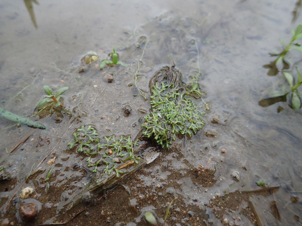 P1153840.JPG P1153840.JPG