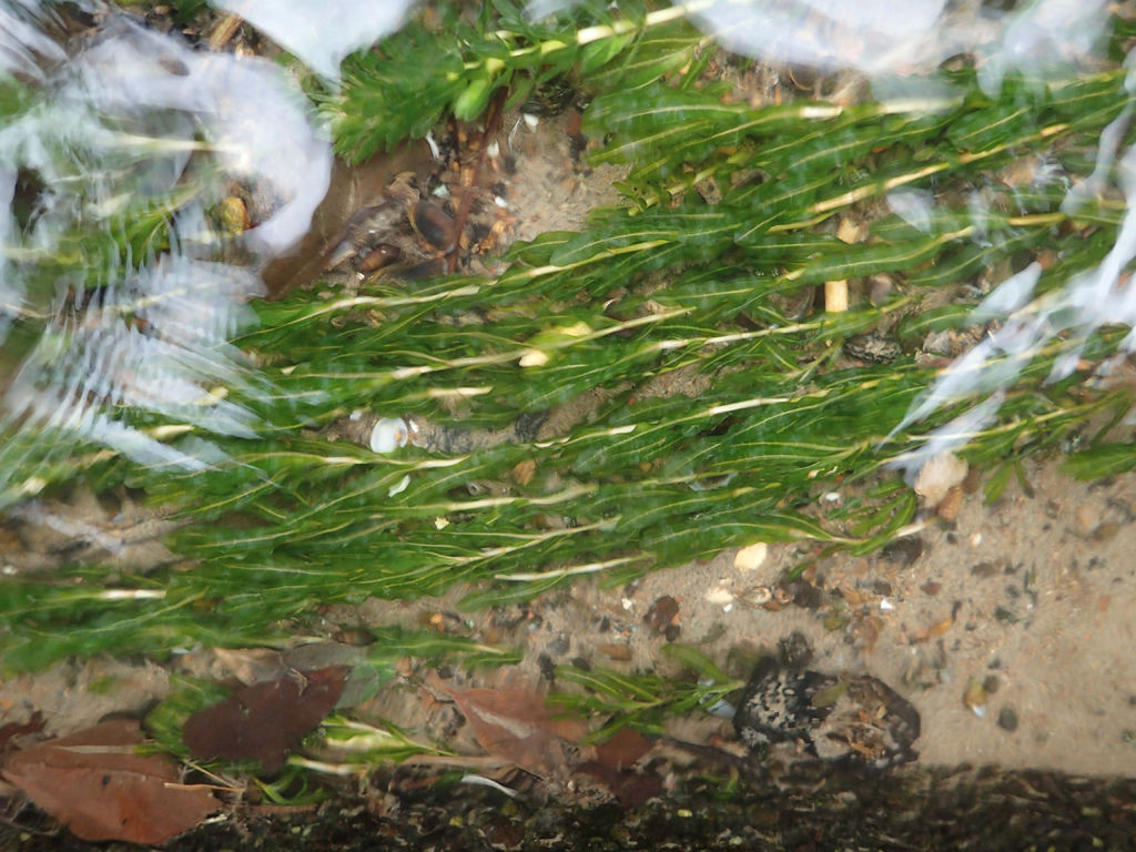 P1164142.JPG P1164142.JPG