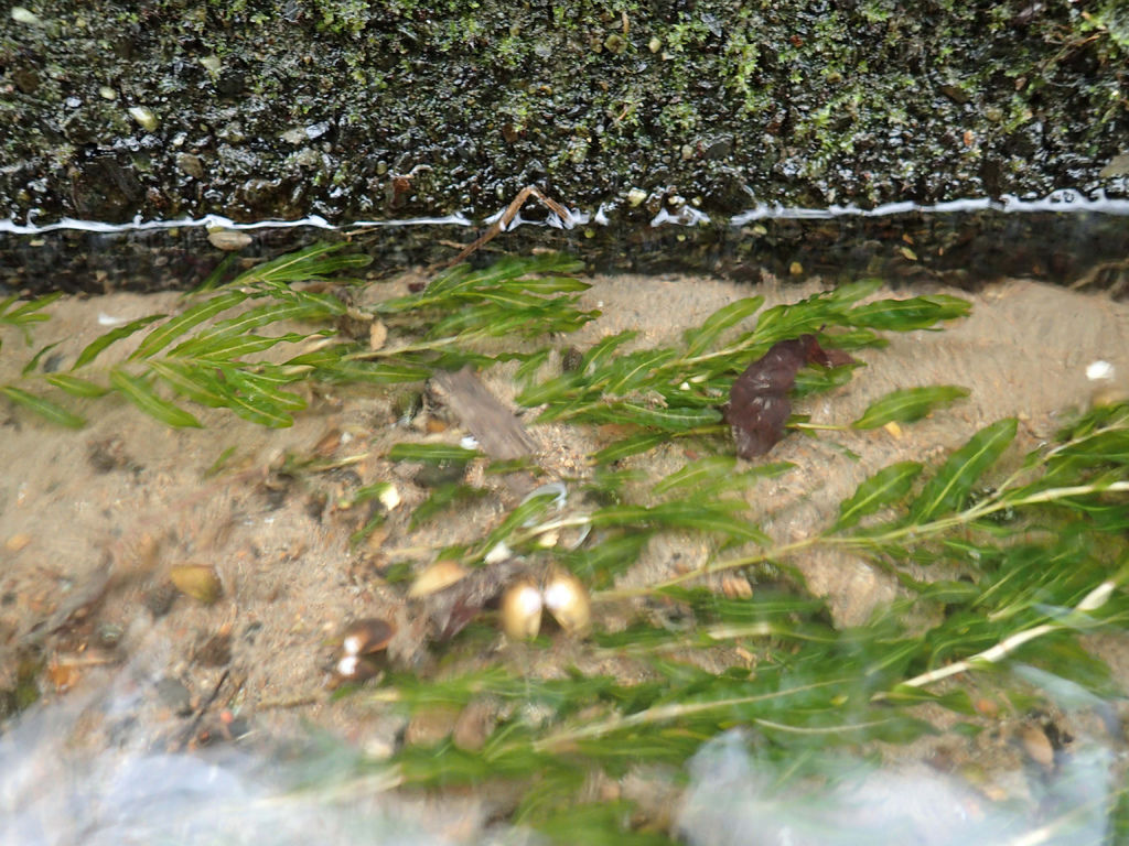 P1164152.JPG P1164152.JPG