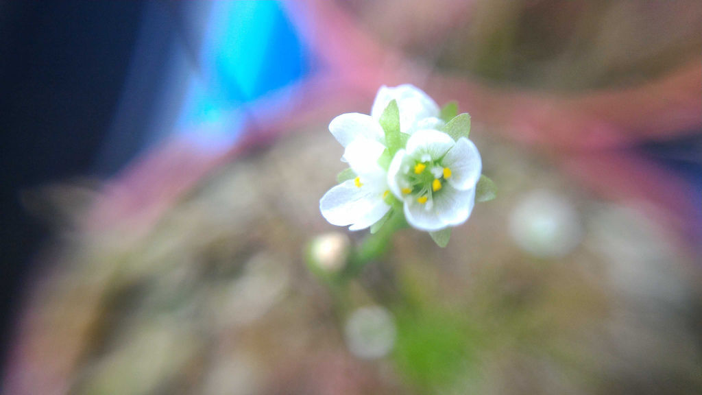 P_20151028_110140.jpg P_20151028_110140.jpg