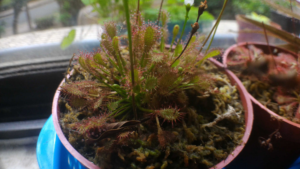 P_20151028_110317.jpg P_20151028_110317.jpg