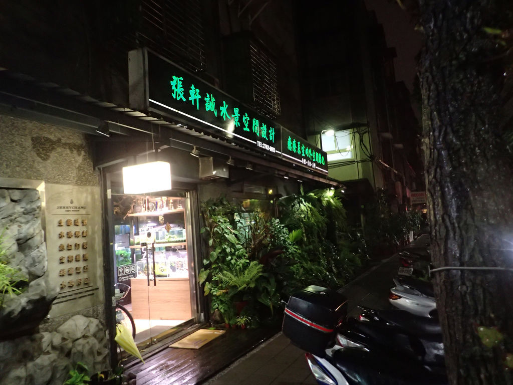 北部魚訊 天龍國下的水族街 Mk的水族天地 痞客邦