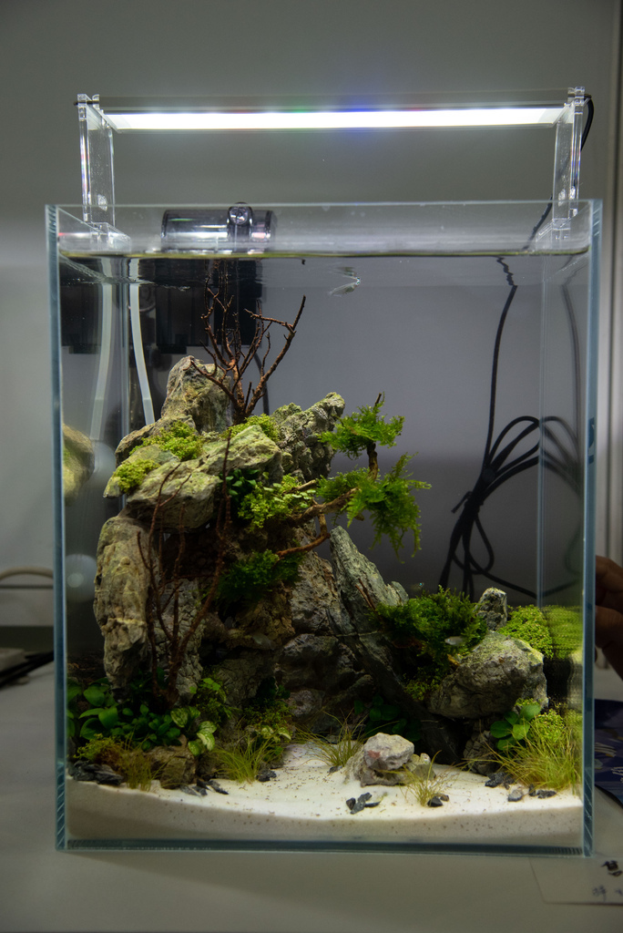 [2023高雄水族展]