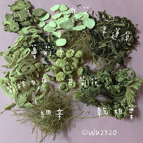 菊花散