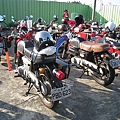 IMG_3592.JPG