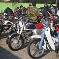IMG_3579.JPG