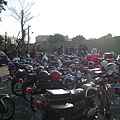 IMG_3589.JPG