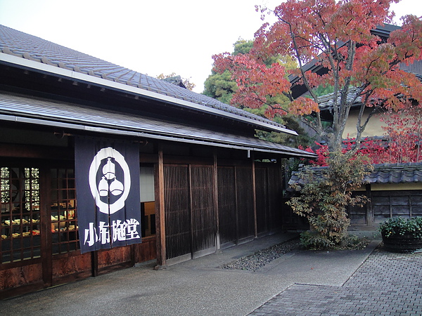 照片 1197.jpg