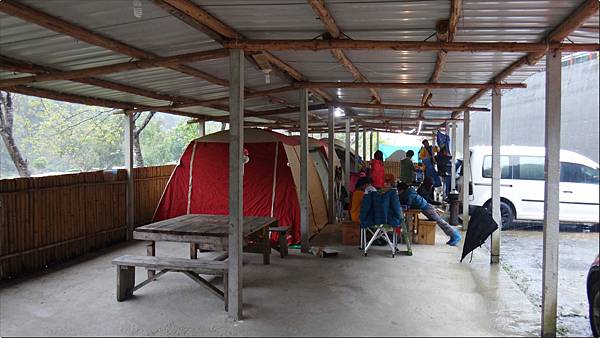 第48露 尖石梅淮露營區 細雨霏霏之露 11y7m 9y9m 雪花台湾