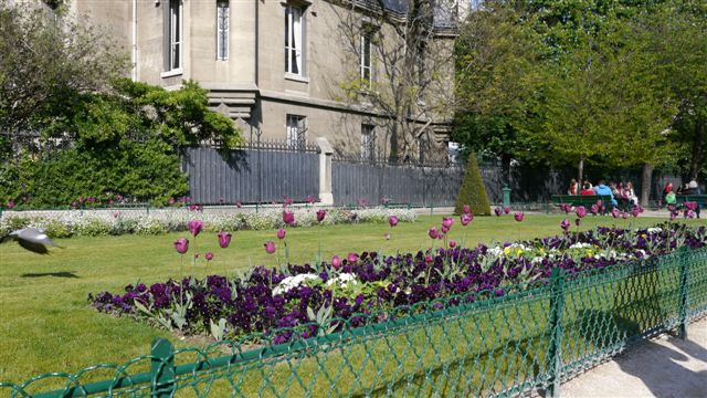 漂亮的花園 不過鬱金香還沒盛開 漂亮的花園 不過鬱金香還沒盛開