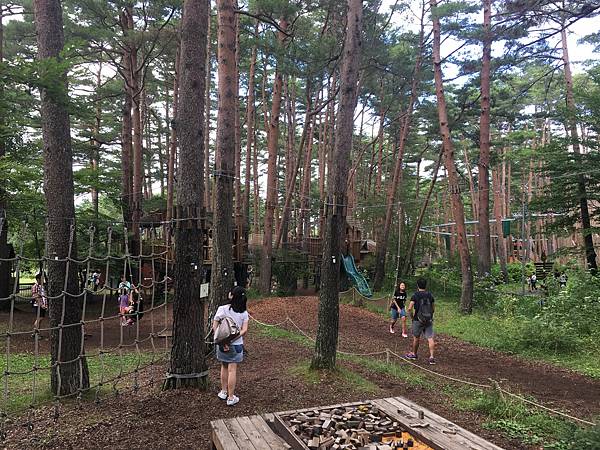 自然体験基地どんぐりコース 自然体験基地どんぐりコース