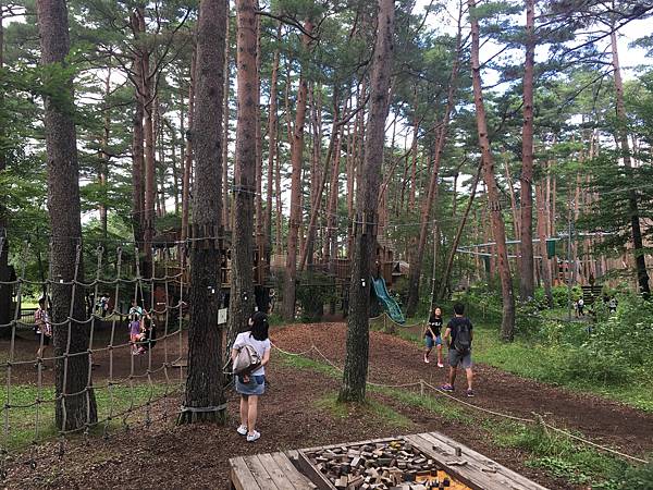 自然体験基地どんぐりコース