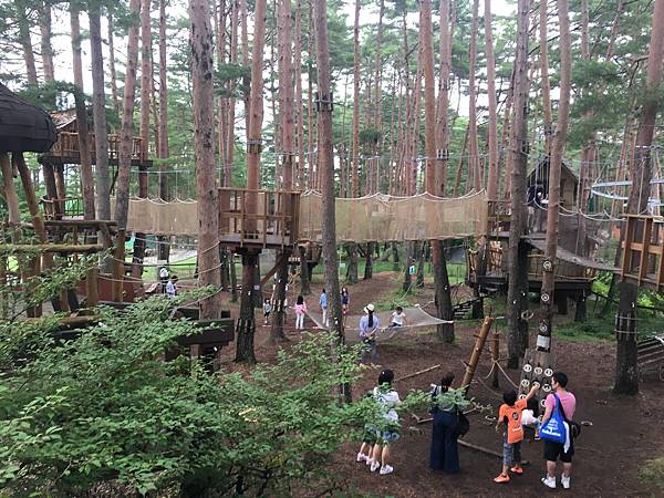 自然体験基地どんぐりコース景一 自然体験基地どんぐりコース景一