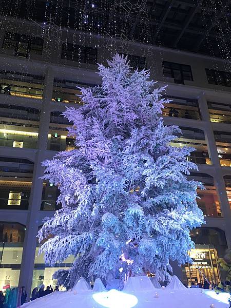 IMG_4124.JPG IMG_4124.JPG