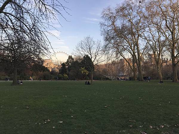 IMG_0447.JPG IMG_0447.JPG