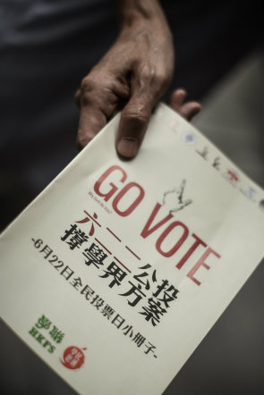hk_referendum_295 hk_referendum_295