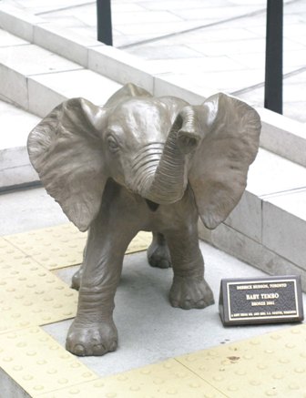 Baby_Tembo.jpg Baby_Tembo.jpg